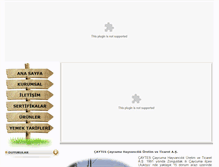 Tablet Screenshot of caytesyumurta.com